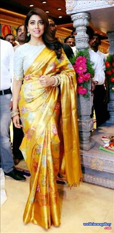 Shriya Latest Stills in VRK Silks Saree