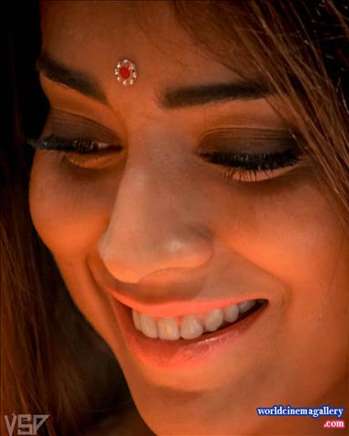 Shriya Latest Stills in VRK Silks Saree