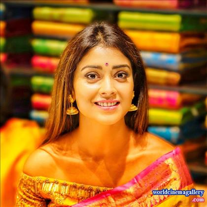 Shriya Latest Stills in VRK Silks Saree