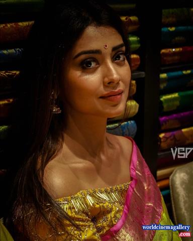 Shriya Latest Stills in VRK Silks Saree