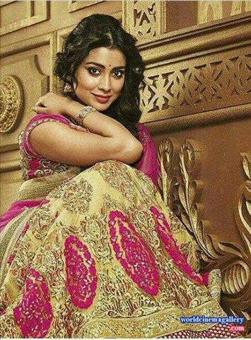 Shriya Latest Stills in VRK Silks Saree