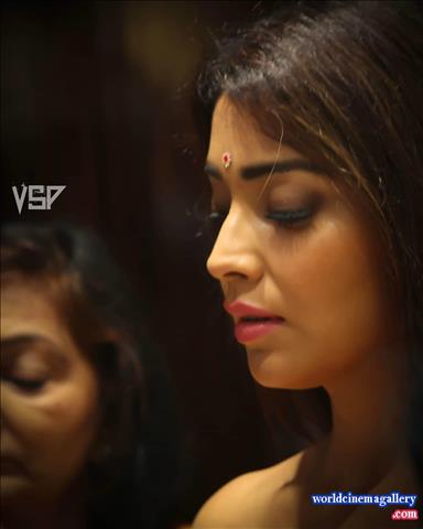 Shriya Latest Stills in VRK Silks Saree