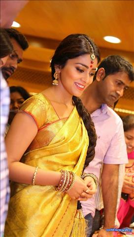 Shriya Saran in VRK Silks Saree Stills