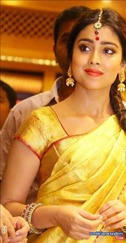 Shriya Saran in VRK Silks Saree Stills