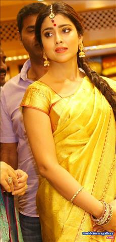 Shriya Saran in VRK Silks Saree Stills