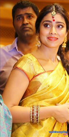 Shriya Saran in VRK Silks Saree Stills