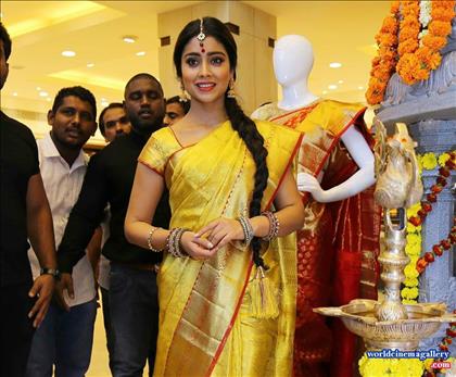 Shriya Saran in VRK Silks Saree Stills
