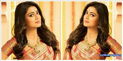 Shriya Saran in VRK Silks Saree Stills