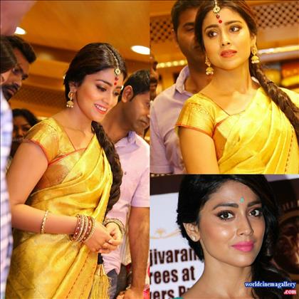 Shriya Saran in VRK Silks Saree Stills