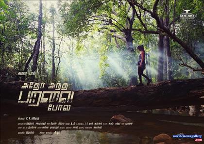 Amala Paul Latest PhotoShoot