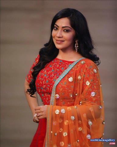 Anchor Ramya Saree Stills - World Cinema Gallery