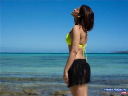 Ileana D'cruz Hot Bikini Stills