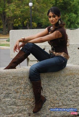 Ileana D'cruz Hot Brown t shirt Stills