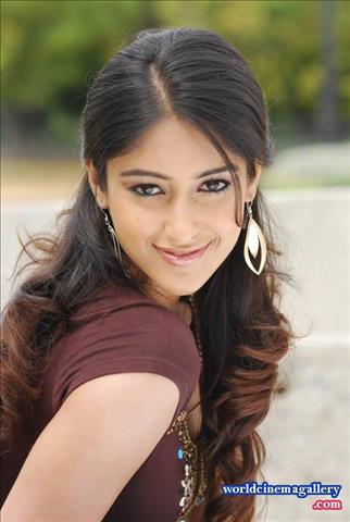 Ileana D'cruz Hot Brown t shirt Stills