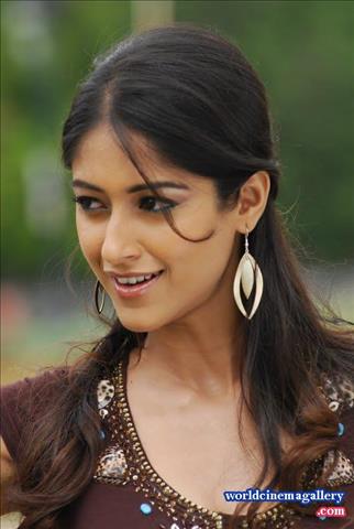 Ileana D'cruz Hot Brown t shirt Stills