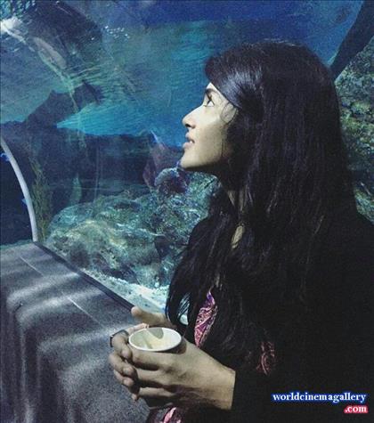 Megha Akash Stills at Chal Mohan Ranga