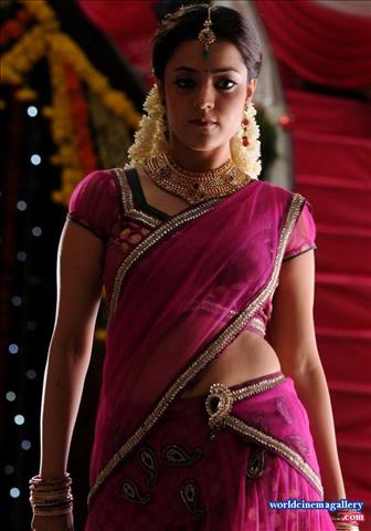 Nisha Aggarwal Hot Saree Stills