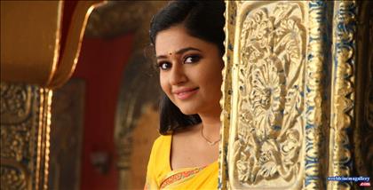 Poonam Bajwa Hot Saree Stills