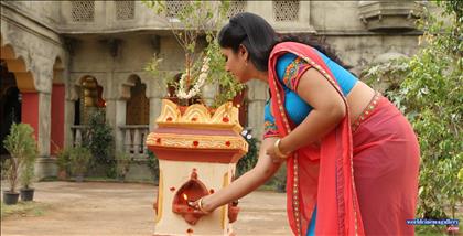 Poonam Bajwa Hot Saree Stills