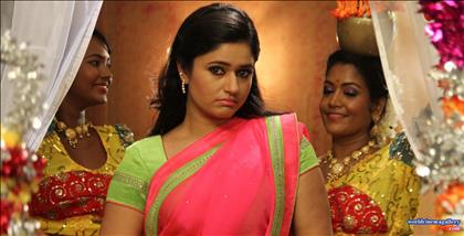 Poonam Bajwa Hot Saree Stills