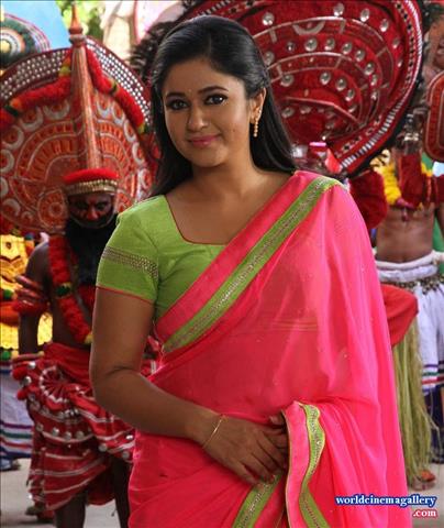 Poonam Bajwa Hot Saree Stills