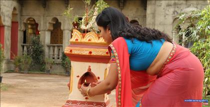 Poonam Bajwa Hot Saree Stills