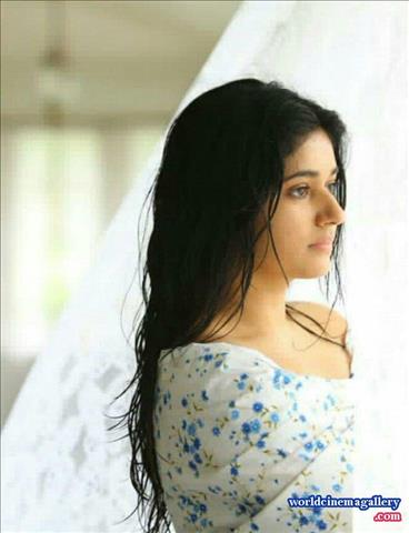 Poonam Bajwa Hot Stills in Aranmanai 2