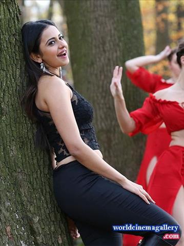 Rakul Preet Stills in Winner Movie - World Cinema Gallery