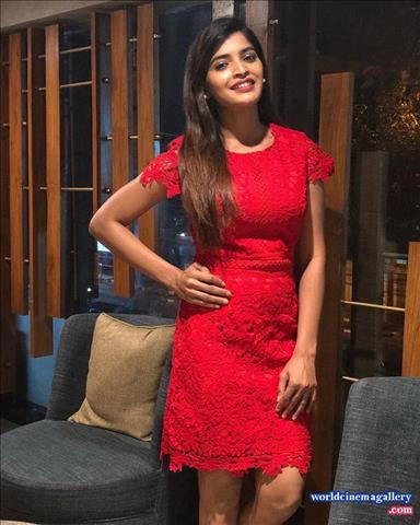 Sanchita Shetty Saree Stills - World Cinema Gallery