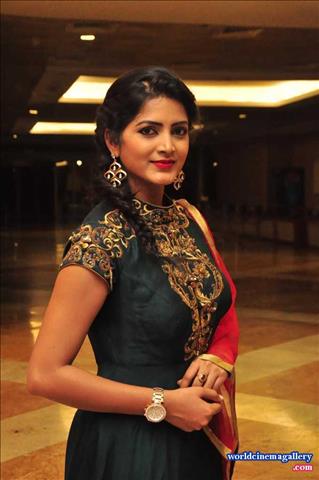 Actress in Saree Stills