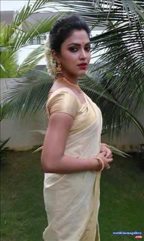 Amala Paul in Kerala Saree