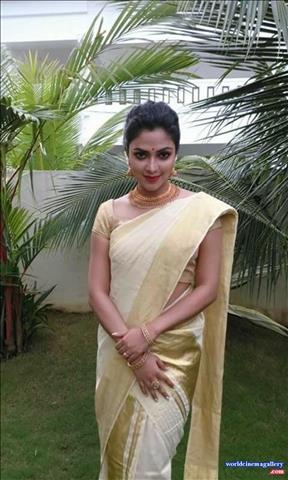 Amala Paul in Kerala Saree