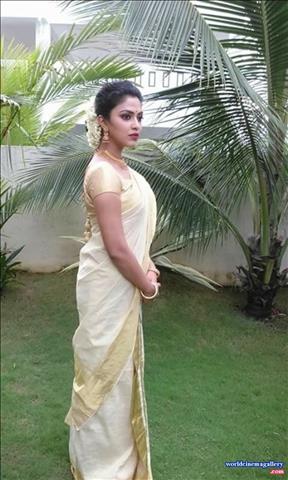 Amala Paul in Kerala Saree