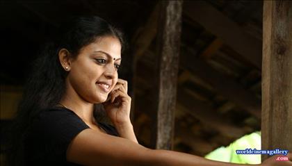 Amala Paul in Kerala Saree