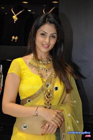 Anjana Sukhani In Transparent Yellow Saree At Jewellery Shop Inaugration