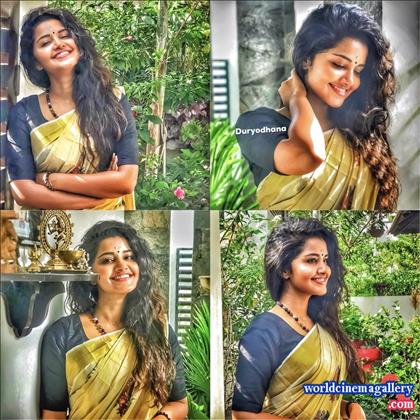 Anupama Parameswaran Vishu Celeration in Kerala Saree stills