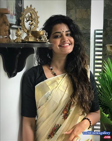 Anupama Parameswaran Vishu Celeration in Kerala Saree stills