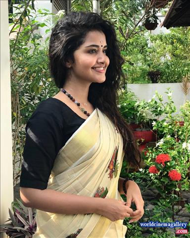 Anupama Parameswaran Vishu Celeration in Kerala Saree stills