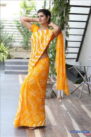 Ashima Narwal Latest Yellow Saree Stills