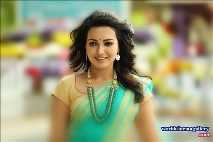 Catherine Tresa Stills at Sarrainodu