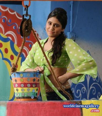 Manisha Yadav Sexy Stills in Trisha Illana Nayanthara