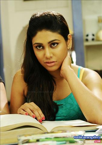 Manisha Yadav Sexy Stills in Trisha Illana Nayanthara