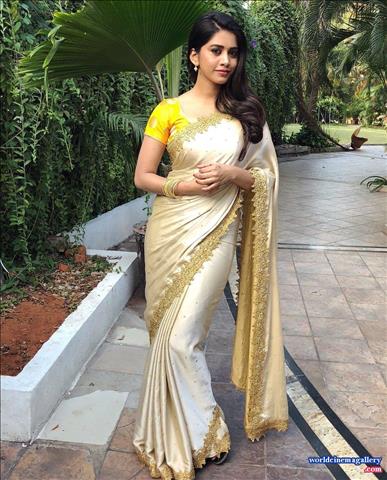 Nabha Natesh Hot Stills