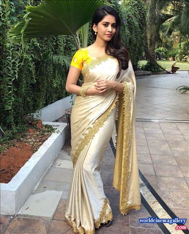 Nabha Natesh Hot Stills