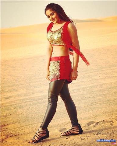 Natasha Doshi - World Cinema Gallery