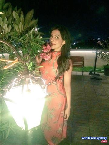 Parvatii Nair Green Saree Stills