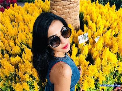 Parvatii Nair Green Saree Stills