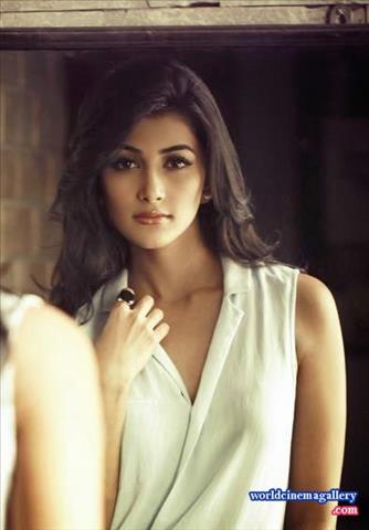 Pooja hedge Hot Stills