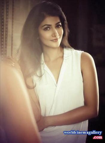 Pooja hedge Hot Stills