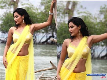 Priya Anand Hot Stills